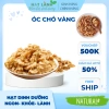 Nhân Óc Chó Vàng 500gr Sấy Chín & Sống Làm Sữa Hạt - Loại 1, Giá Ưu Đãi 151k