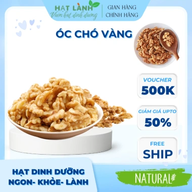 Nhân Óc Chó Vàng 500gr Sấy Chín & Sống Làm Sữa Hạt - Loại 1, Giá Ưu Đãi 151k