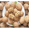 Nhân Óc Chó Viet Healthy 500g - Dinh dưỡng cho chó, sức đề kháng, giá ưu đãi 348k 4