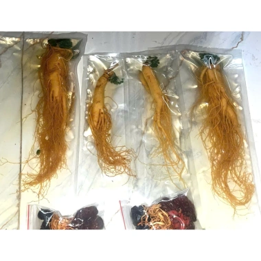 Nhân sâm 14 tuổi 400g tặng củ 6 tuổi 150g kèm sét đồ ngâm - Giá ưu đãi 449.000đ