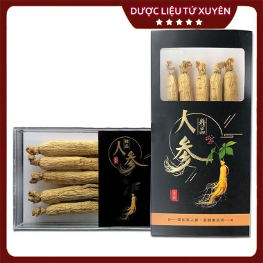 Nhân Sâm Cát Lâm Hàng Thượng Phẩm Size To 60g Đẹp Thơm Giá chỉ 240.000đ