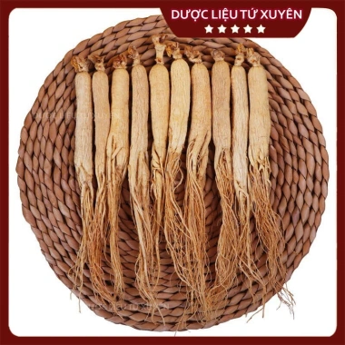 Nhân Sâm Cát Lâm Hàng Thượng Phẩm Size To 60g Đẹp Thơm Giá chỉ 240.000đ