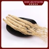 Nhân Sâm Cát Lâm Hàng Thượng Phẩm Size To 60g Đẹp Thơm Giá chỉ 240.000đ 4