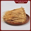 Nhân Sâm Cát Lâm Hàng Thượng Phẩm Size To 60g Đẹp Thơm Giá chỉ 240.000đ 7
