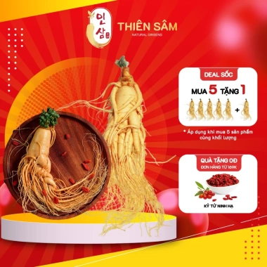 Nhân Sâm Hàn Quốc 20 Năm Tuổi Geaumsan Thượng Hạng – Bồi Bổ Sức Khỏe, Giá 339.000 VNĐ