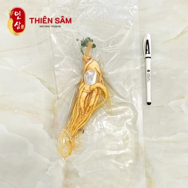 Nhân Sâm Hàn Quốc 20 Năm Tuổi Geaumsan Thượng Hạng – Bồi Bổ Sức Khỏe, Giá 339.000 VNĐ 10 Nhân Sâm Hàn Quốc 20 Năm Tuổi Geaumsan Thượng Hạng – Bồi Bổ Sức Khỏe, Giá 339.000 VNĐ 10