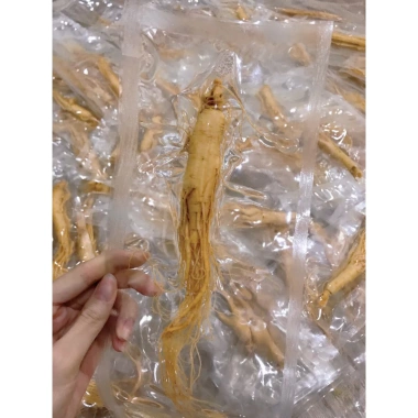 Nhân sâm Hàn Quốc tươi hầm gà - Năng lượng tự nhiên, giảm giá 49k/c, chỉ 49.500đ