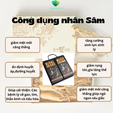 Nhân Sâm Khô Cát Lâm - Sâm Núi Trường Bạch, Hộp Quà Bạch Sâm Giá 189.000 VNĐ - Quà Tặng Sức Khỏe Chống Ung Thư