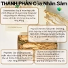 Nhân Sâm Khô Cát Lâm - Sâm Núi Trường Bạch, Hộp Quà Bạch Sâm Giá 189.000 VNĐ - Quà Tặng Sức Khỏe Chống Ung Thư 4