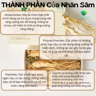 Nhân Sâm Khô Cát Lâm - Sâm Núi Trường Bạch, Hộp Quà Bạch Sâm Giá 189.000 VNĐ - Quà Tặng Sức Khỏe Chống Ung Thư