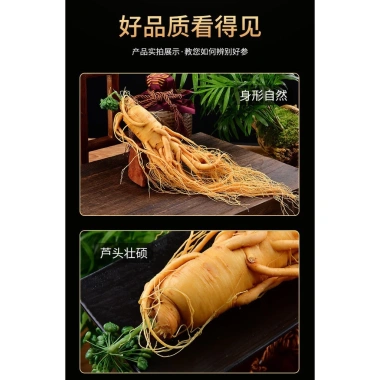 Nhân sâm nguyên củ 20 năm Trường Bạch - Ngâm rượu, nấu ăn, pha trà, quà tặng sức khỏe 99k 8