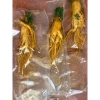 Nhân Sâm Nguyên Củ 450g Sâm Núi Trường Bạch, Tặng 1 Củ 50g, Giá Ưu Đãi 470.000đ 9