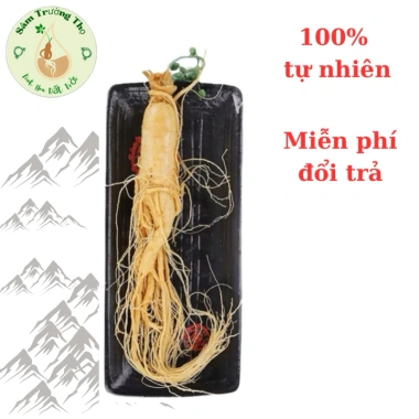 Nhân Sâm Núi Trường Bạch 350g tươi nguyên không hoa Tặng 1 củ 50g giá chỉ 281.260 VND