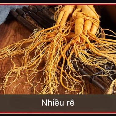Nhân Sâm Núi Trường Bạch 350g tươi nguyên không hoa Tặng 1 củ 50g giá chỉ 281.260 VND