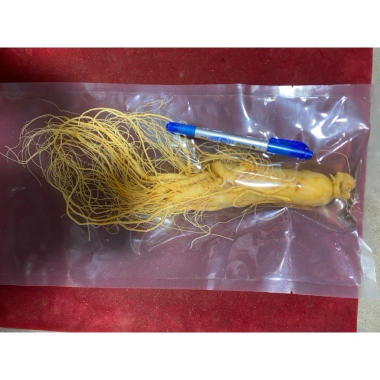 Nhân Sâm Núi Trường Bạch 350g tươi nguyên không hoa Tặng 1 củ 50g giá chỉ 281.260 VND