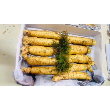 Nhân Sâm Trọc Tươi Hàn Quốc 5-6 Năm Tuổi 300g (3 củ) Size 10 Củ 1kg Ngâm Mật Ong Giá 590k