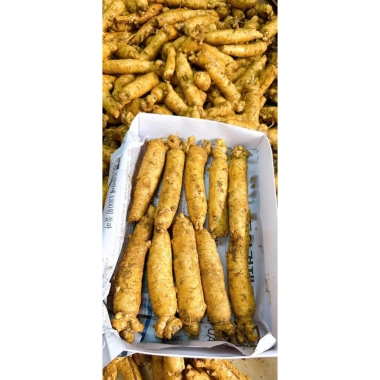 Nhân Sâm Trọc Tươi Hàn Quốc 5-6 Năm Tuổi 300g (3 củ) Size 10 Củ 1kg Ngâm Mật Ong Giá 590k