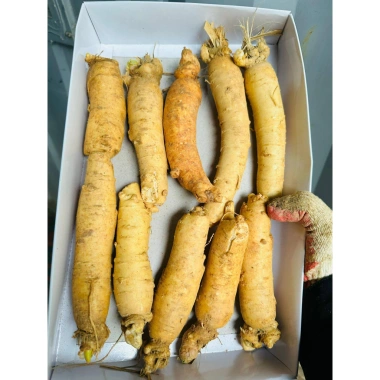 Nhân Sâm Trọc Tươi Hàn Quốc 5-6 Năm Tuổi 300g (3 củ) Size 10 Củ 1kg Ngâm Mật Ong Giá 590k