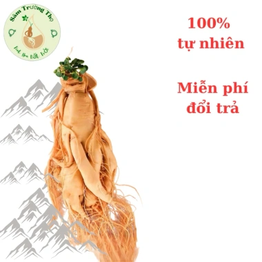 Nhân Sâm Trường Bạch 500g Ngâm Bình - Tặng 1 củ 50g, Giá ưu đãi 615.000 VND