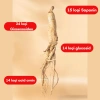 Nhân Sâm Trường Bạch 500g Ngâm Bình - Tặng 1 củ 50g, Giá ưu đãi 615.000 VND 4