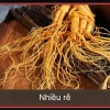 Nhân Sâm Trường Bạch 500g Ngâm Bình - Tặng 1 củ 50g, Giá ưu đãi 615.000 VND 9