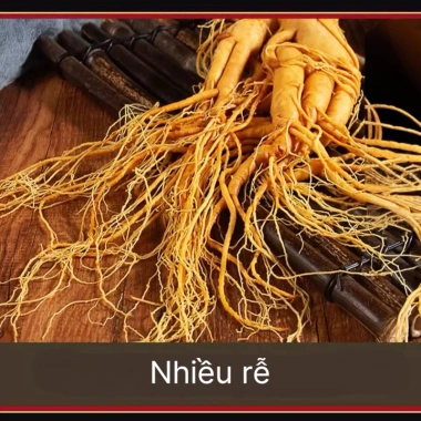 Nhân Sâm Trường Bạch 500g Ngâm Bình - Tặng 1 củ 50g, Giá ưu đãi 615.000 VND 9 Nhân Sâm Trường Bạch 500g Ngâm Bình - Tặng 1 củ 50g, Giá ưu đãi 615.000 VND 9