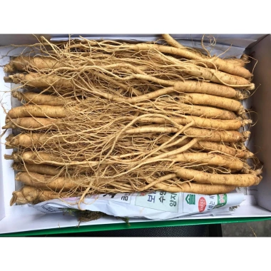 Nhân Sâm Tươi Hàn Quốc 25-35 Củ 1kg - Sâm Hầm Gà Giá 800.000 Giảm 20%