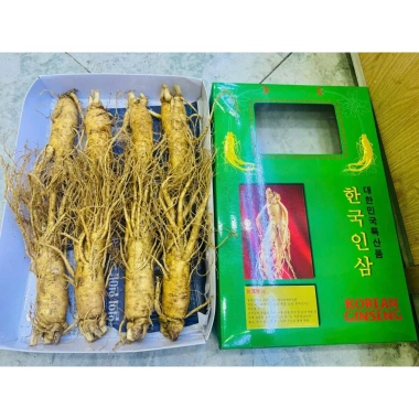 Nhân Sâm Tươi Hàn Quốc 8 Củ 1kg Hút Chân Không - Giá 405.000, Bán Lẻ 2
