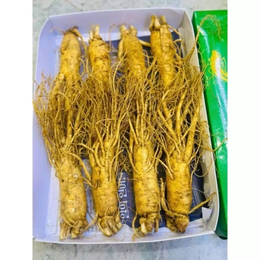 Nhân Sâm Tươi Hàn Quốc 8 Củ 1kg Hút Chân Không - Giá 405.000, Bán Lẻ 3
