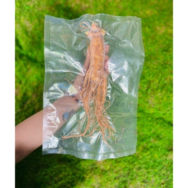 Nhân Sâm Tươi Hàn Quốc 8 Củ 1kg Hút Chân Không - Giá 405.000, Bán Lẻ 5