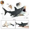 Nhân vật hành động cá mập vẽ tay - Mô hình Megalodon thực tế cho trẻ em 6