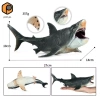Nhân vật hành động cá mập vẽ tay - Mô hình Megalodon thực tế cho trẻ em 7