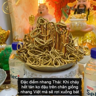 Nhang Hương Thần Tài Thái Lan Ít Khói Cuộn Tàn Vàng Ánh Kim - Thẻ 79, 185 Nén, Giá chỉ 38.000 VND 2