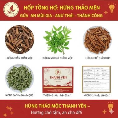 Nhang Lá Mùi Già Thanh Yên 60 cây 38cm - Hương vị Tết xưa, thanh tịnh ban thờ, cao cấp, giảm giá 50.000 VND
