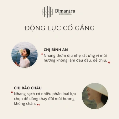 Nhang sạch 1/2kg 10 loại thảo mộc Dimantra - Ít khói, hương thơm nhẹ, an toàn sức khỏe, giá 65.000 VND 5