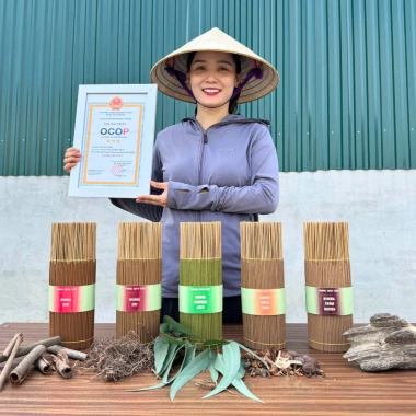 Nhang Sạch Thảo Mộc 5 sao 1kg - Hương dịu nhẹ, ít khói, an toàn, OCOP, 159.000 VND 3