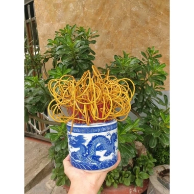 Nhang Thảo Mộc Cuốn Tàn Tài Lộc - Giá ưu đãi 150.000đ, Bảo Tài Lộc, Xua Đuổi Xui Xẻo 6