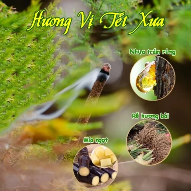 Nhang Thảo Mộc Tự Nhiên Hương Bài Cổ Truyền Cao Cấp - Giảm còn 35.000₫ (Giá gốc 44.450₫)