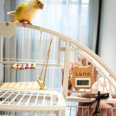 Nhiệt kế đo nhiệt độ & độ ẩm cho lồng chuồng hamster, sóc, gà, thỏ – Giá chỉ 185.000đ, giảm tới 48%