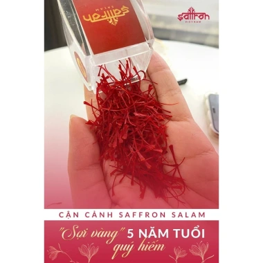 Nhụy Hoa Nghệ Tây Saffron Salam 1g - Giá 490.000đ, giảm 20%, hỗ trợ sức khỏe