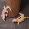 NLINNI Gecko Prank – Đồ chơi động vật, tượng thằn lằn mô phỏng, giá 69.300₫ 3