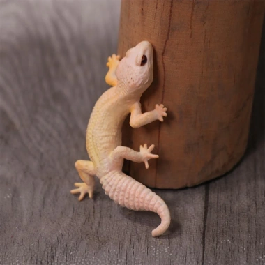 NLINNI Gecko Prank – Đồ chơi động vật, tượng thằn lằn mô phỏng, giá 69.300₫