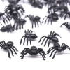 NLINNI Nhện Đen Kinh Dị 50 Chiếc - Đồ Trang Trí Halloween và Sinh Nhật, Giá 45.100₫ 6