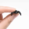 NLINNI Nhện Đen Kinh Dị 50 Chiếc - Đồ Trang Trí Halloween và Sinh Nhật, Giá 45.100₫ 7