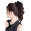 Nơ Đuôi Ngựa Xoăn Gợn Sóng - Kẹp Móng Vuốt Dài Phong Cách Hàn Quốc, Mở Rộng Tóc Giả cho Tóc Nữ - 101.520 VND 10