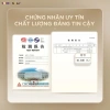 Nồi chiên không dầu BEAR 5L AF-5H15I52 - Chiên nướng hơi nước, giá 1.19 triệu 9