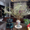 Nồi chiên không dầu CAMEL 10-15 lít đa năng, bảo hành 12 tháng, giá ưu đãi 575.000₫ 2