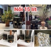 Nồi chiên không dầu Camel 12L 1.500W, bảo hành 12 tháng - Giá 539.000đ 8