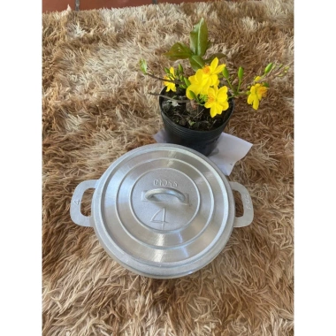 Nồi gang đúc nguyên khối 20-31cm - Siêu bền, giữ nhiệt tốt, giá ưu đãi 165.000 VND