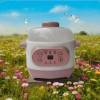 Nồi hầm đa năng 1.0L cách thủy, nấu cháo chậm, ninh xương, chưng yến - Giữ nhiệt tốt, giá chỉ 249.000₫ 2